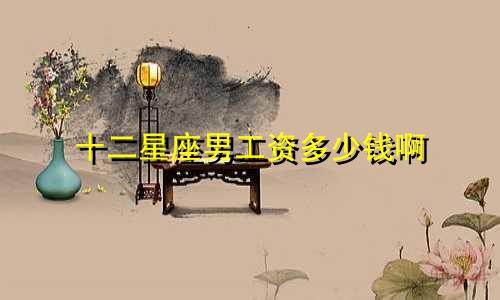 十二星座男工资多少钱啊