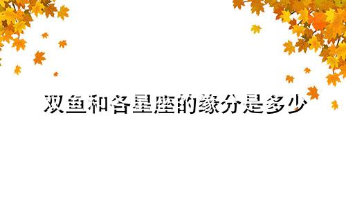 双鱼和各星座的缘分是多少