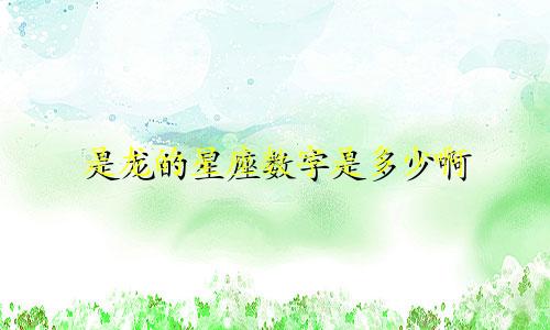是龙的星座数字是多少啊