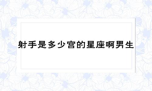 射手是多少宫的星座啊男生