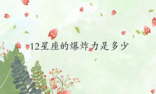 12星座的爆炸力是多少