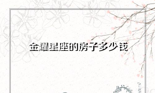 金耀星座的房子多少钱