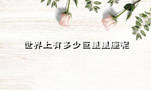 世界上有多少巨星星座呢