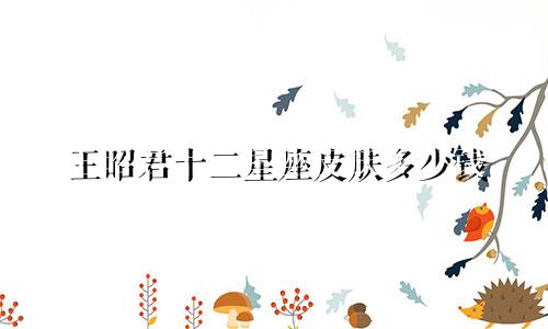 王昭君十二星座皮肤多少钱