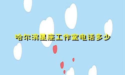 哈尔滨星座工作室电话多少