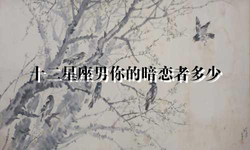 十二星座男你的暗恋者多少