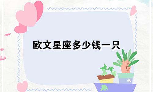 欧文星座多少钱一只