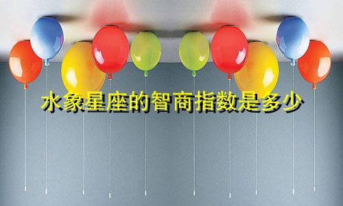 水象星座的智商指数是多少
