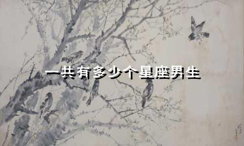 一共有多少个星座男生