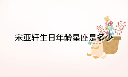 宋亚轩生日年龄星座是多少