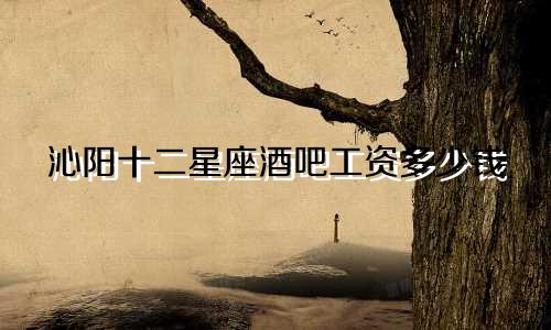沁阳十二星座酒吧工资多少钱