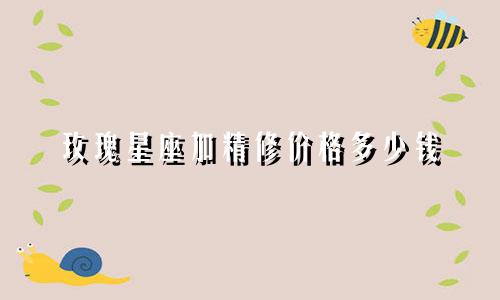 玫瑰星座加精修价格多少钱
