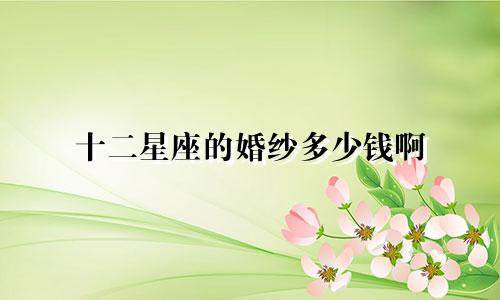 十二星座的婚纱多少钱啊