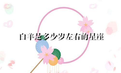 白羊是多少岁左右的星座