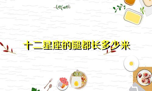 十二星座的腿都长多少米