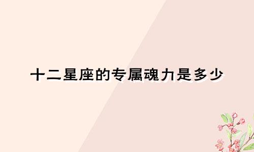 十二星座的专属魂力是多少