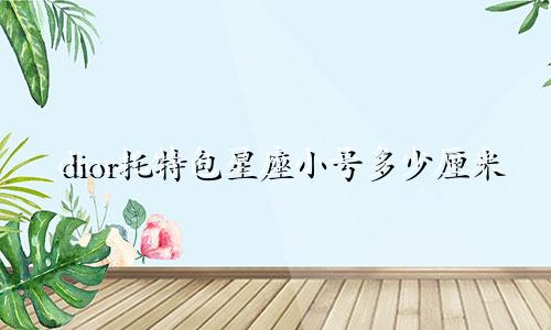 dior托特包星座小号多少厘米