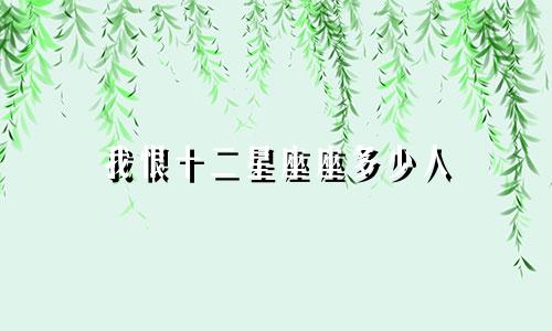 我恨十二星座座多少人