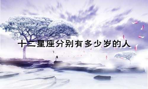 十二星座分别有多少岁的人