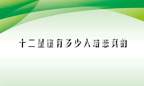 十二星座有多少人暗恋真的