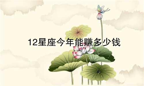 12星座今年能赚多少钱