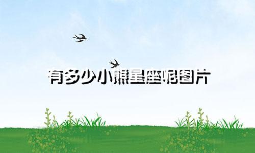 有多少小熊星座呢图片