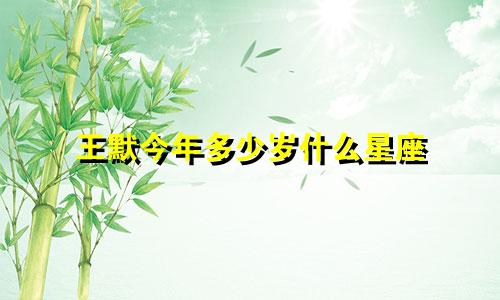 王默今年多少岁什么星座