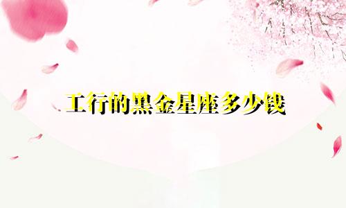 工行的黑金星座多少钱