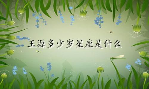 王源多少岁星座是什么
