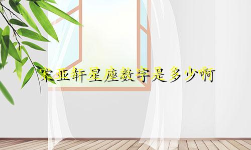 宋亚轩星座数字是多少啊