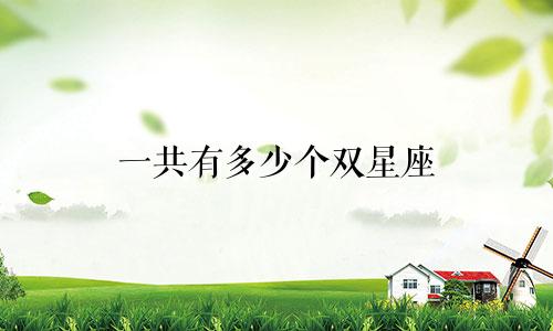 一共有多少个双星座
