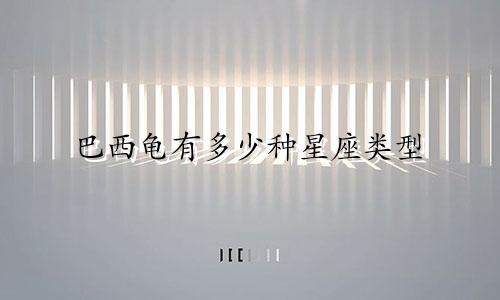 巴西龟有多少种星座类型