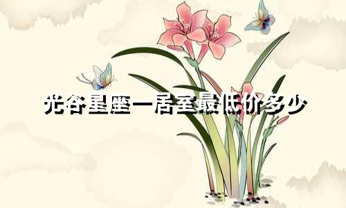 光谷星座一居室最低价多少