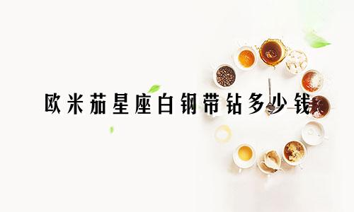 欧米茄星座白钢带钻多少钱