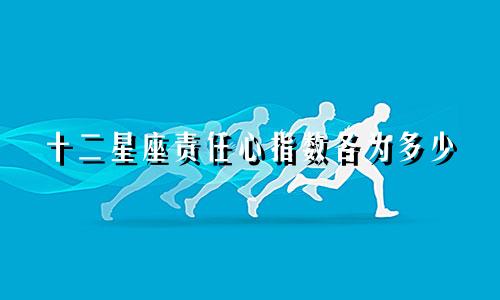 十二星座责任心指数各为多少