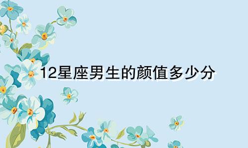 12星座男生的颜值多少分