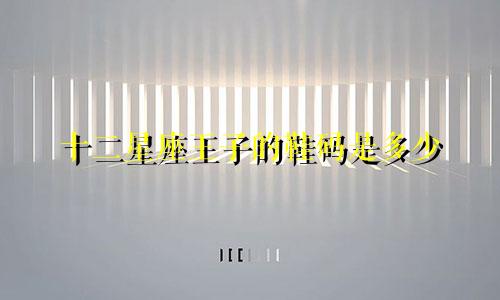 十二星座王子的鞋码是多少