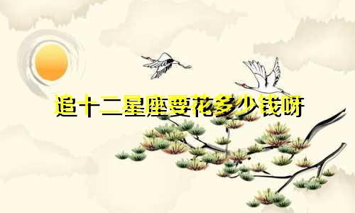 追十二星座要花多少钱呀