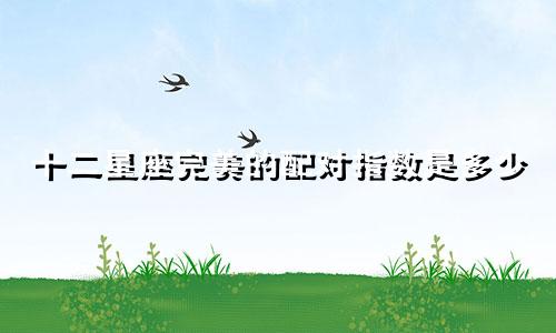 十二星座完美的配对指数是多少