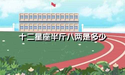 十二星座半斤八两是多少
