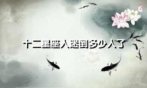 十二星座人迷倒多少人了