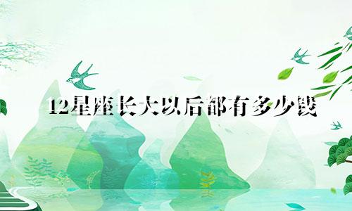 12星座长大以后都有多少钱