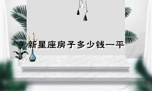 新星座房子多少钱一平