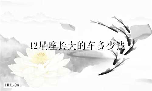 12星座长大的车多少钱