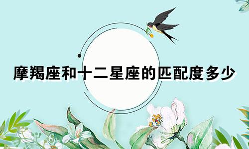 摩羯座和十二星座的匹配度多少