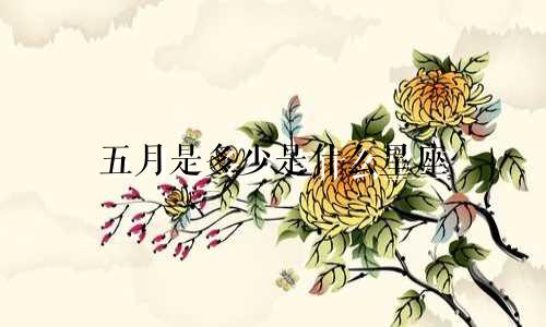 五月是多少是什么星座