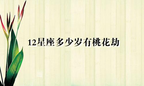 12星座多少岁有桃花劫