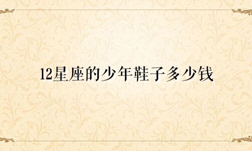 12星座的少年鞋子多少钱