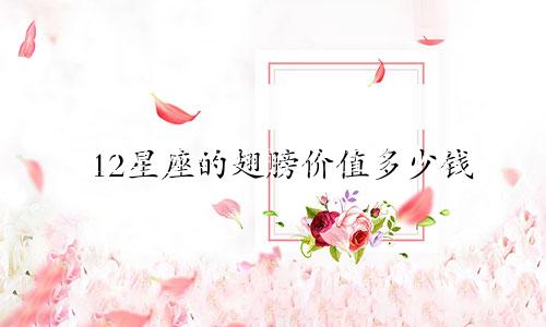 12星座的翅膀价值多少钱