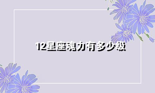 12星座魂力有多少级